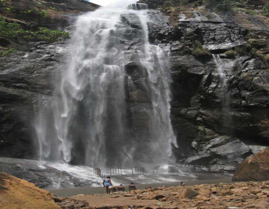 Agaya Gangai Waterfalls